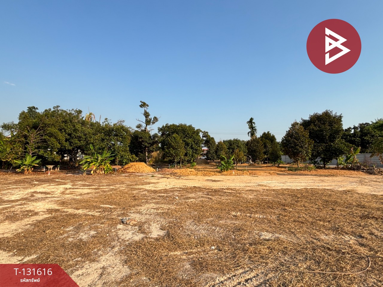 ขายที่ดิน เนื้อที่ 1 งาน 1 ตร.วา แกลง ระยอง 10