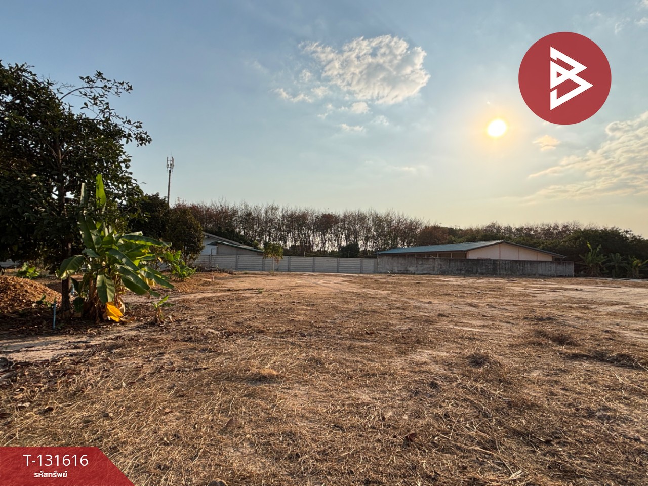 ขายที่ดิน เนื้อที่ 1 งาน 1 ตร.วา แกลง ระยอง 11