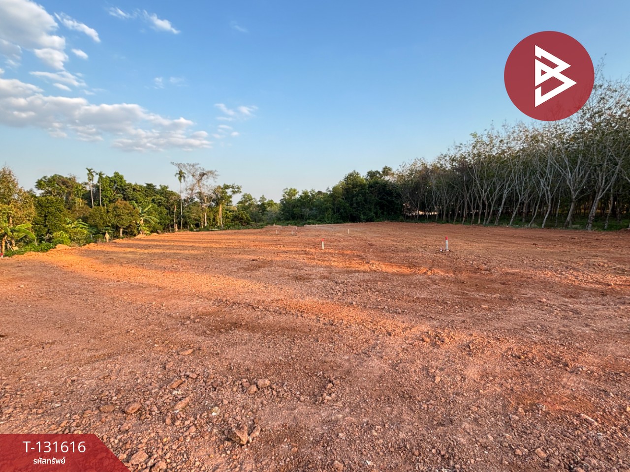 ขายที่ดิน เนื้อที่ 1 งาน 1 ตร.วา แกลง ระยอง 4