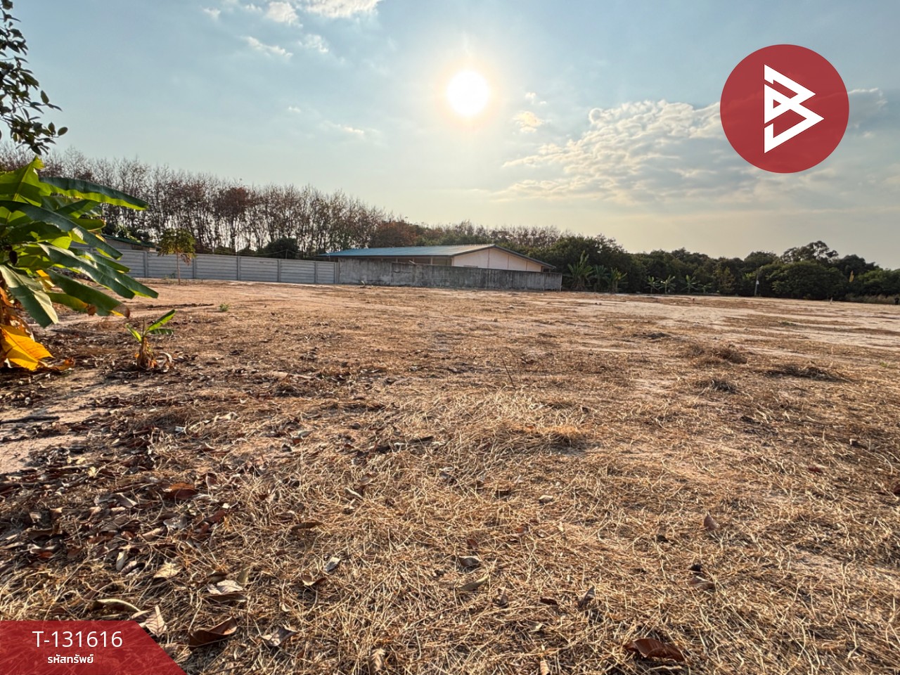 ขายที่ดิน เนื้อที่ 1 งาน 1 ตร.วา แกลง ระยอง 6