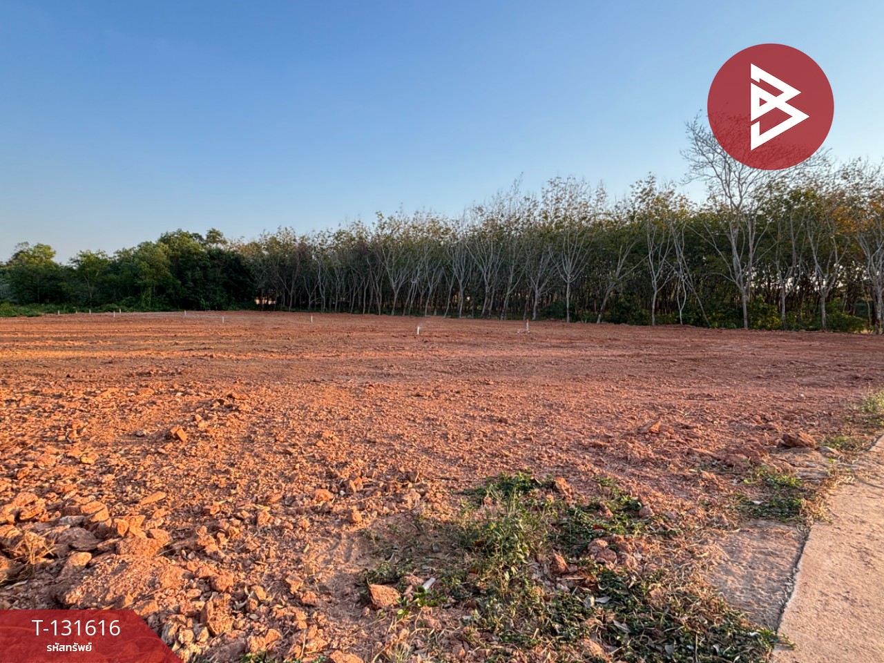 ขายที่ดิน เนื้อที่ 1 งาน 1 ตร.วา แกลง ระยอง 5