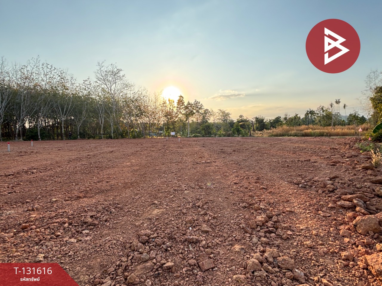 ขายที่ดิน เนื้อที่ 1 งาน 1 ตร.วา แกลง ระยอง 8