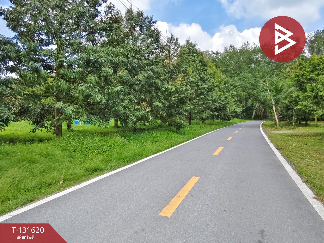 ขายที่ดินพร้อมสวน เนื้อที่ 6 ไร่ 1 งาน 7 ตร.วา ท่าศาลา นครศรีธรรมราช 11