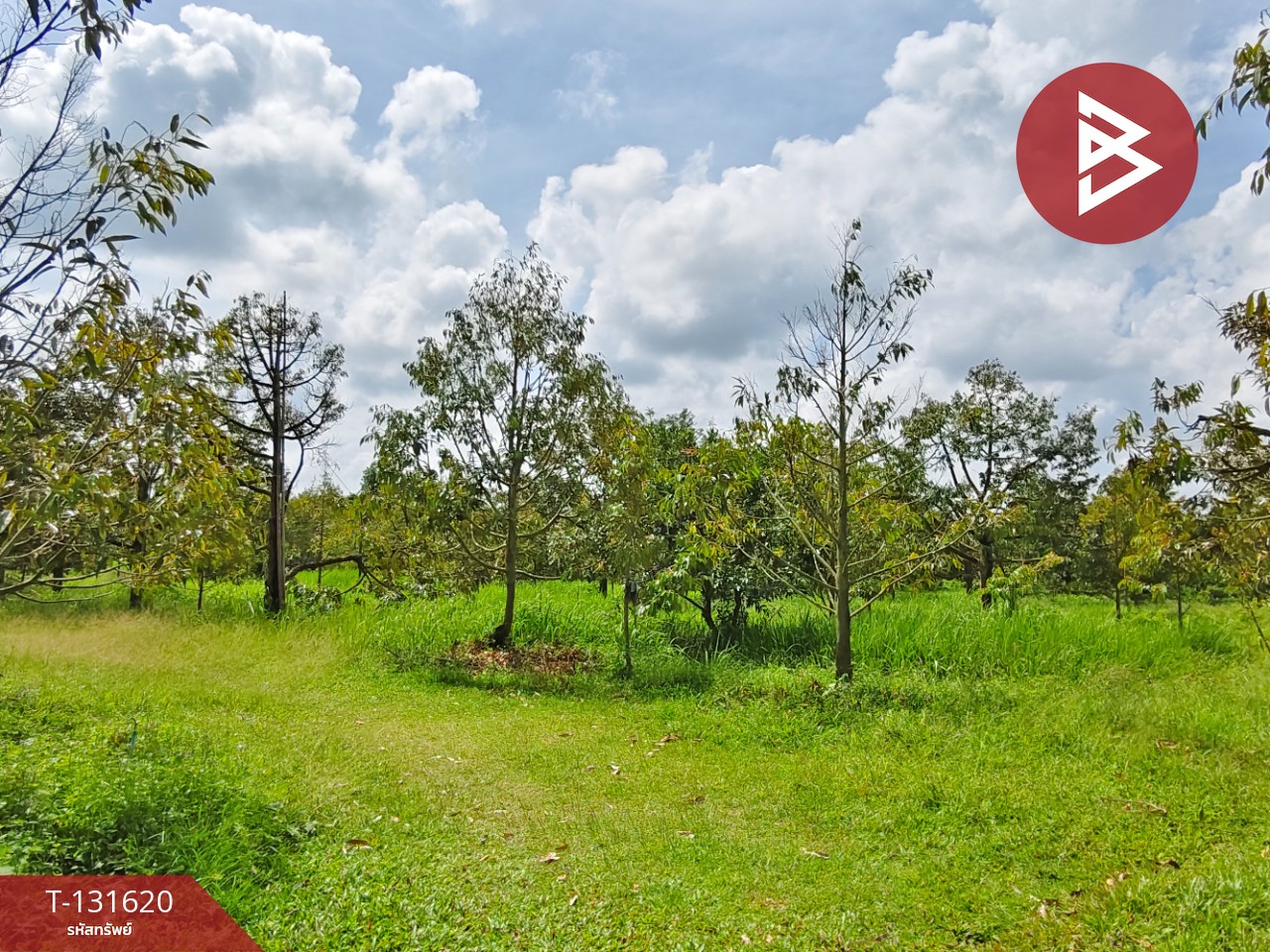 ขายที่ดินพร้อมสวน เนื้อที่ 6 ไร่ 1 งาน 7 ตร.วา ท่าศาลา นครศรีธรรมราช 4