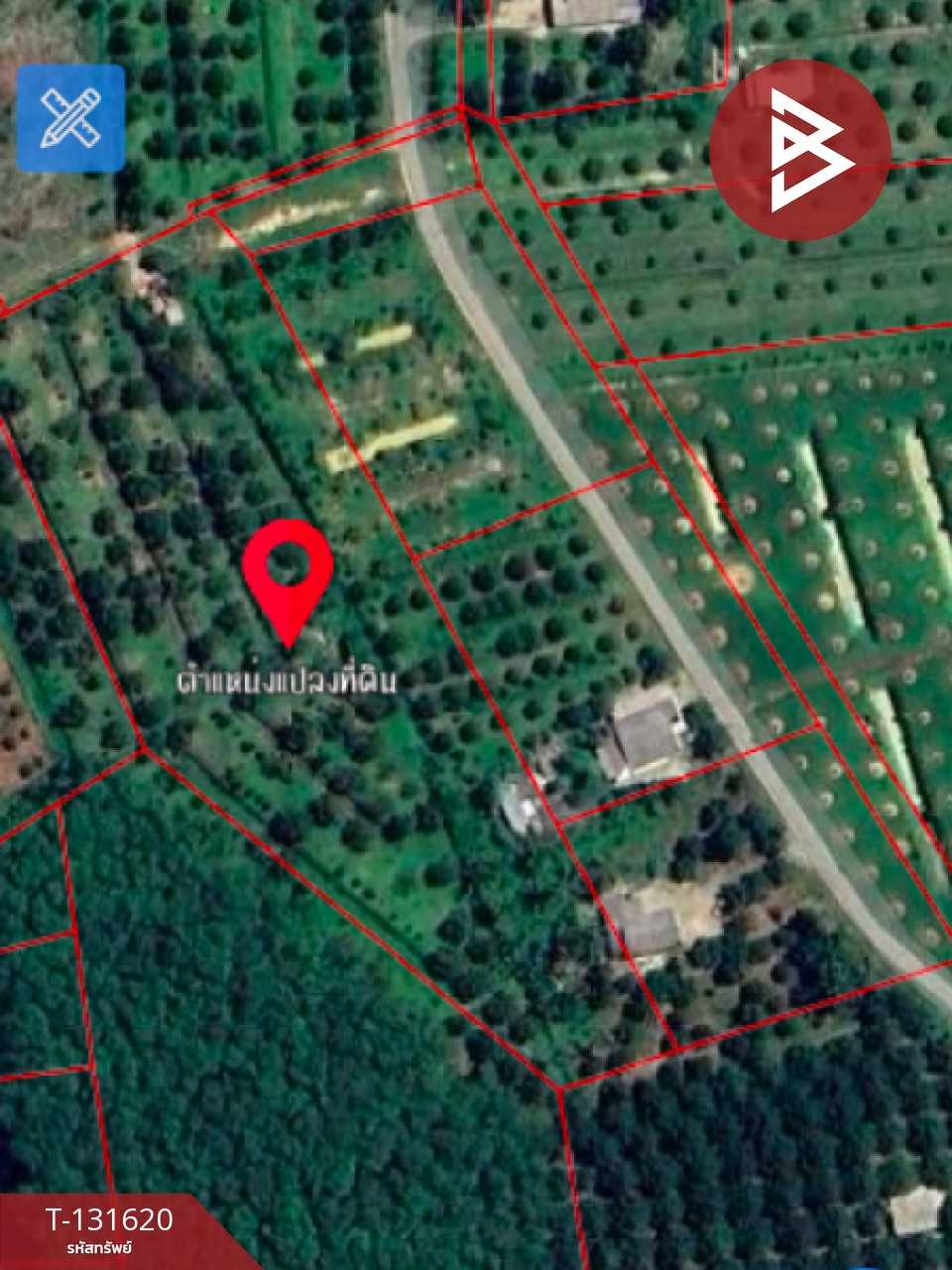 ขายที่ดินพร้อมสวน เนื้อที่ 6 ไร่ 1 งาน 7 ตร.วา ท่าศาลา นครศรีธรรมราช 12