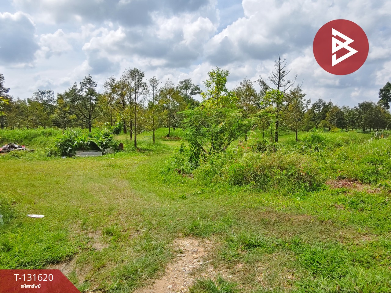 ขายที่ดินพร้อมสวน เนื้อที่ 6 ไร่ 1 งาน 7 ตร.วา ท่าศาลา นครศรีธรรมราช 9