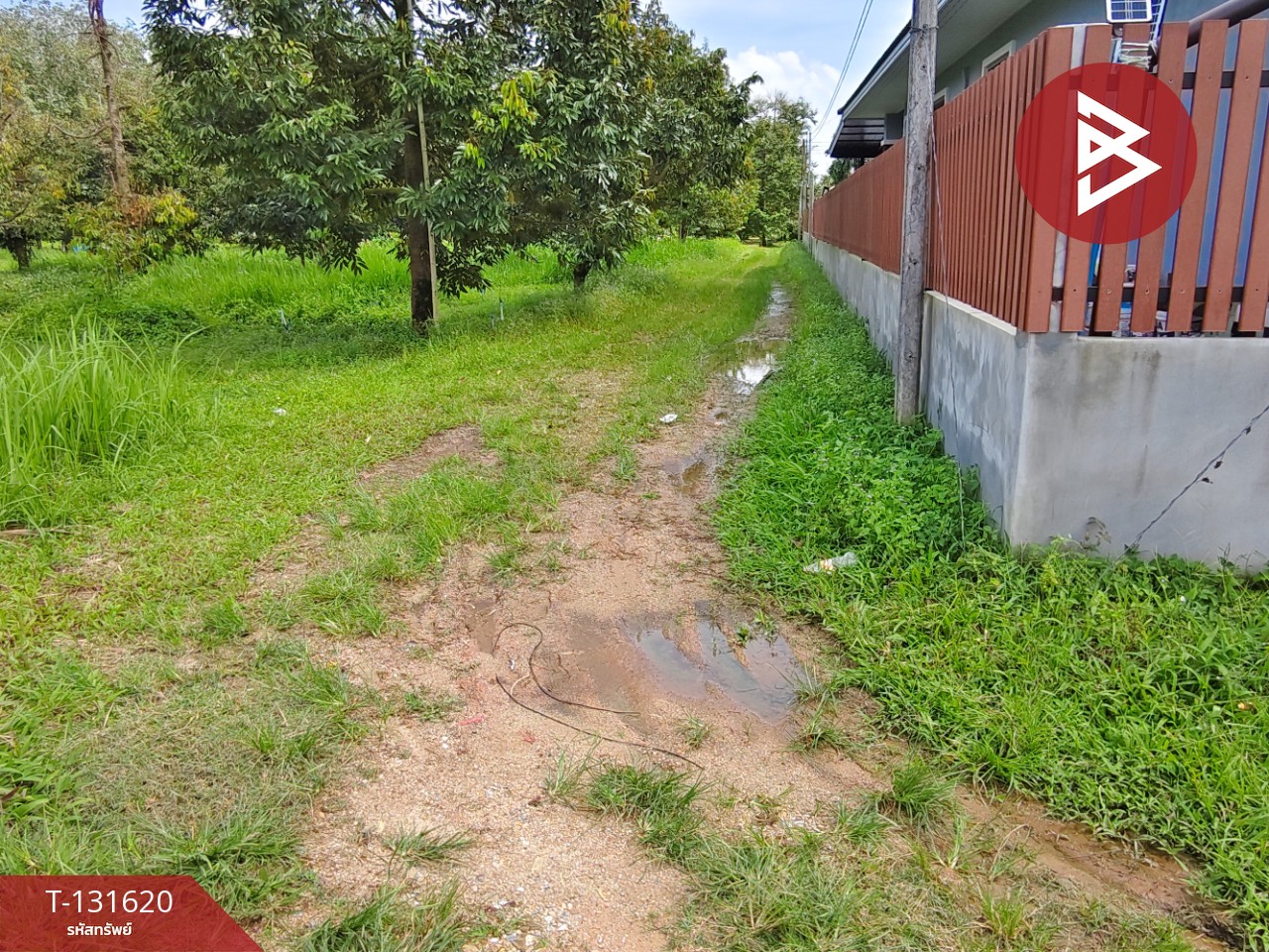 ขายที่ดินพร้อมสวน เนื้อที่ 6 ไร่ 1 งาน 7 ตร.วา ท่าศาลา นครศรีธรรมราช 3