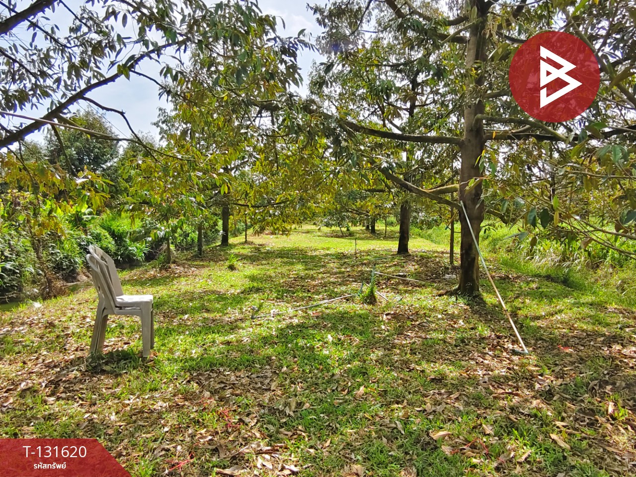 ขายที่ดินพร้อมสวน เนื้อที่ 6 ไร่ 1 งาน 7 ตร.วา ท่าศาลา นครศรีธรรมราช 6