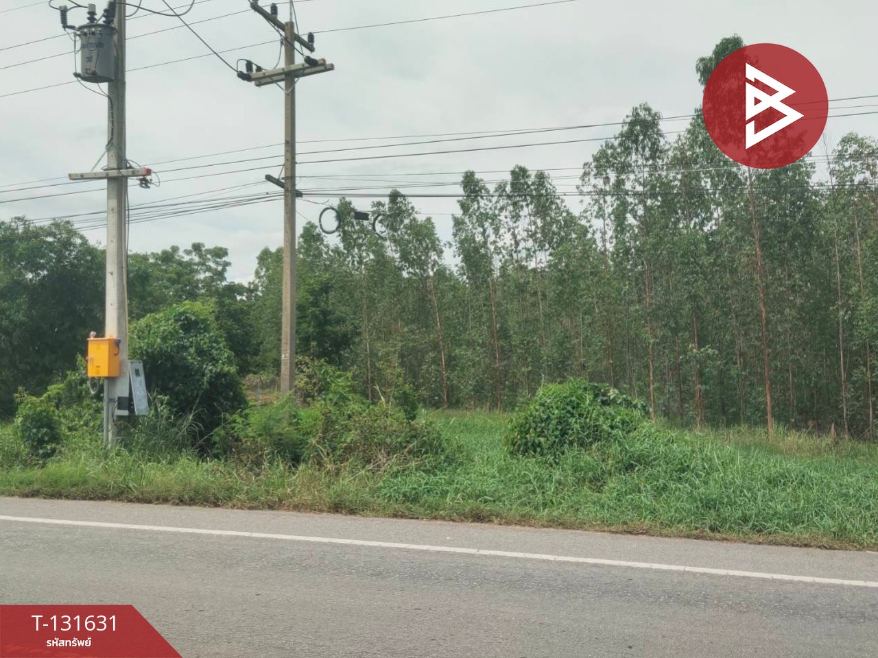 ขายที่ดิน เนื้อที่ 9 ไร่ 1 ตร.วา ลาดยาว นครสวรรค์ 3