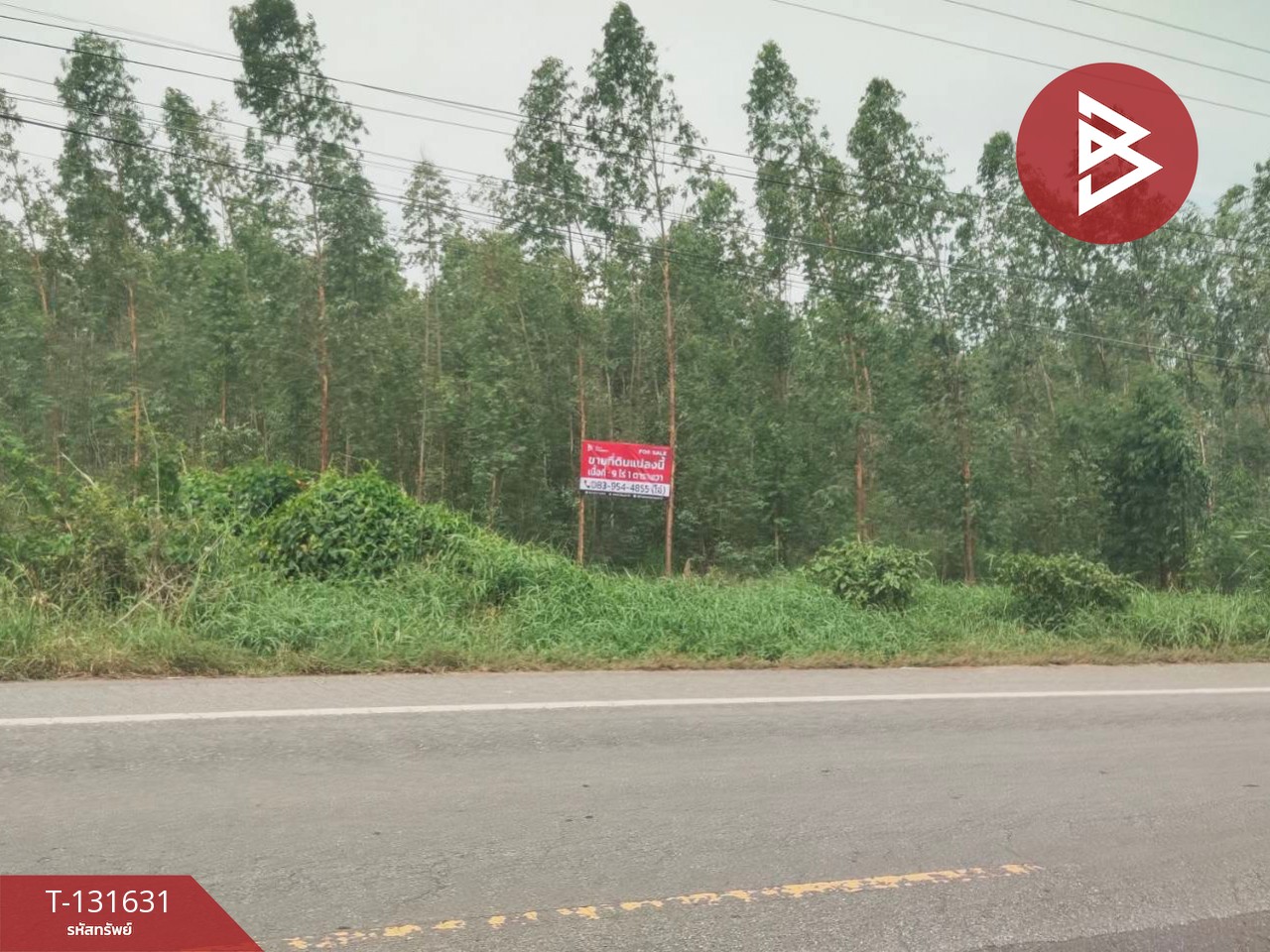 ขายที่ดิน เนื้อที่ 9 ไร่ 1 ตร.วา ลาดยาว นครสวรรค์ 5