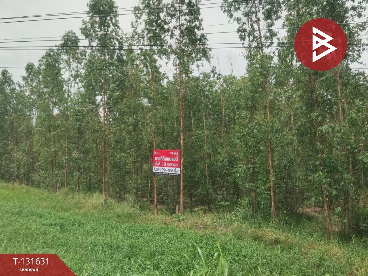 ขายที่ดิน เนื้อที่ 9 ไร่ 1 ตร.วา ลาดยาว นครสวรรค์ 4