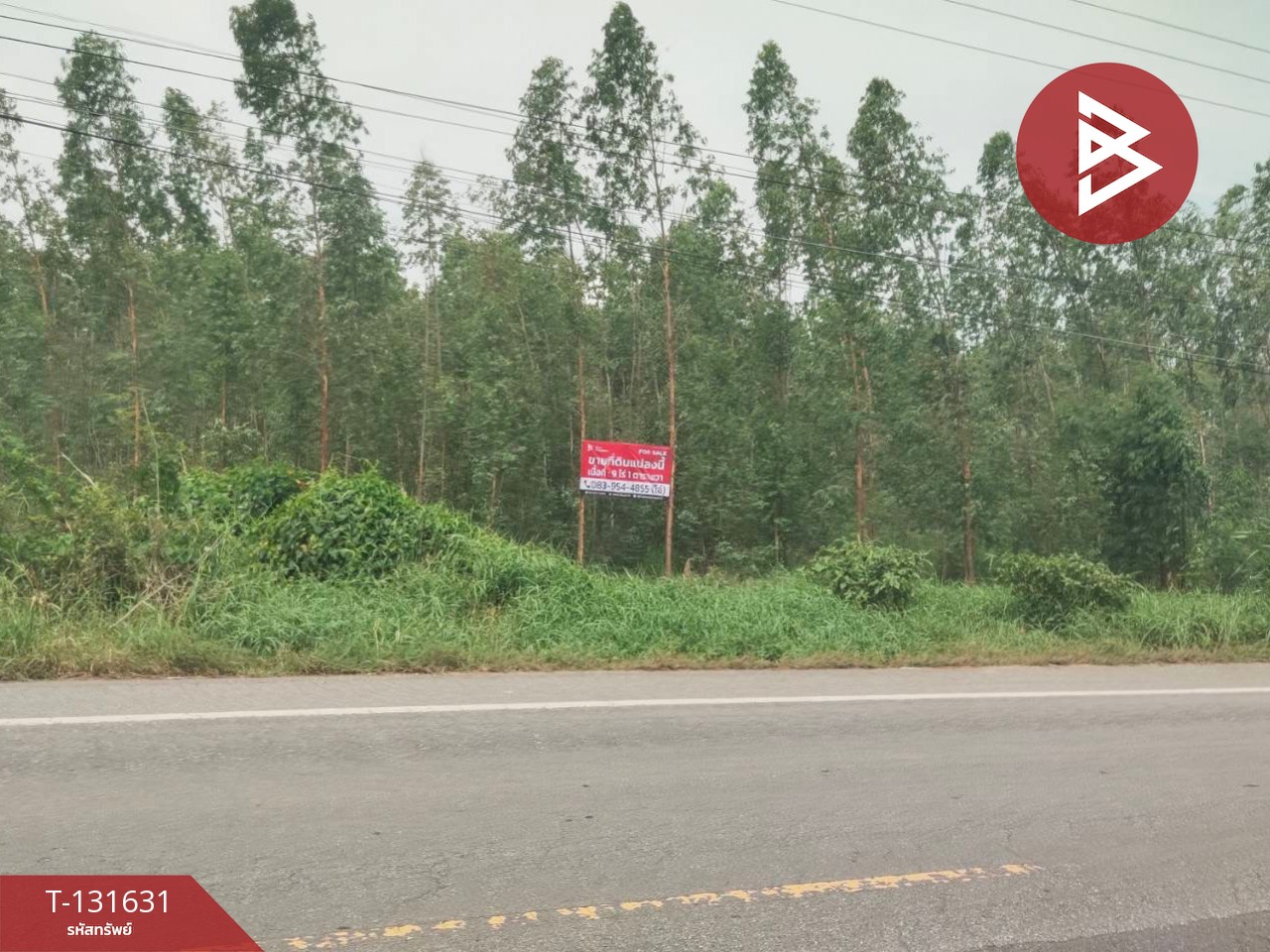 ขายที่ดิน เนื้อที่ 9 ไร่ 1 ตร.วา ลาดยาว นครสวรรค์ 2