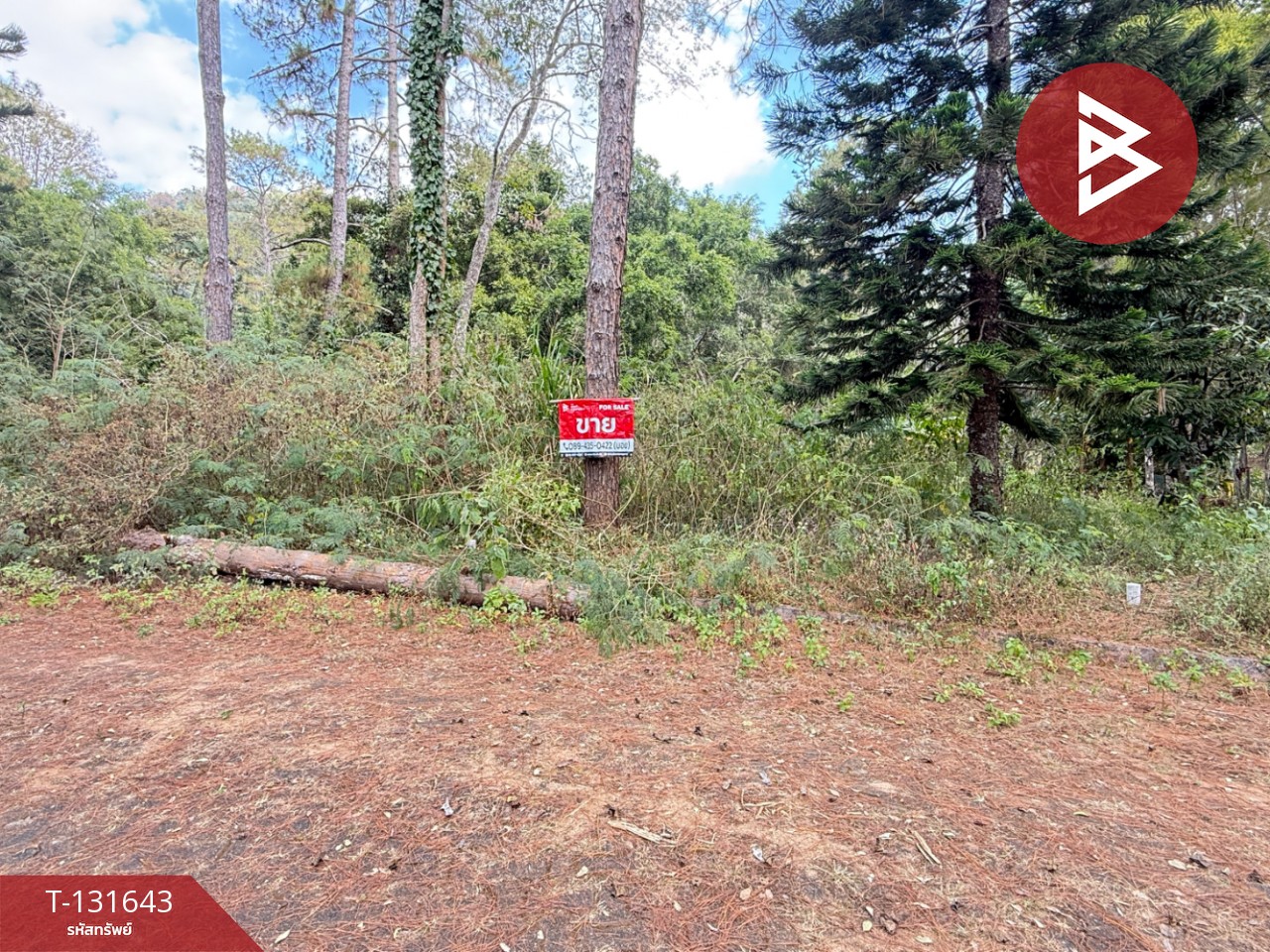 ขายที่ดิน เนื้อที่ 1 งาน 32 ตร.วา แม่ริม เชียงใหม่ 2