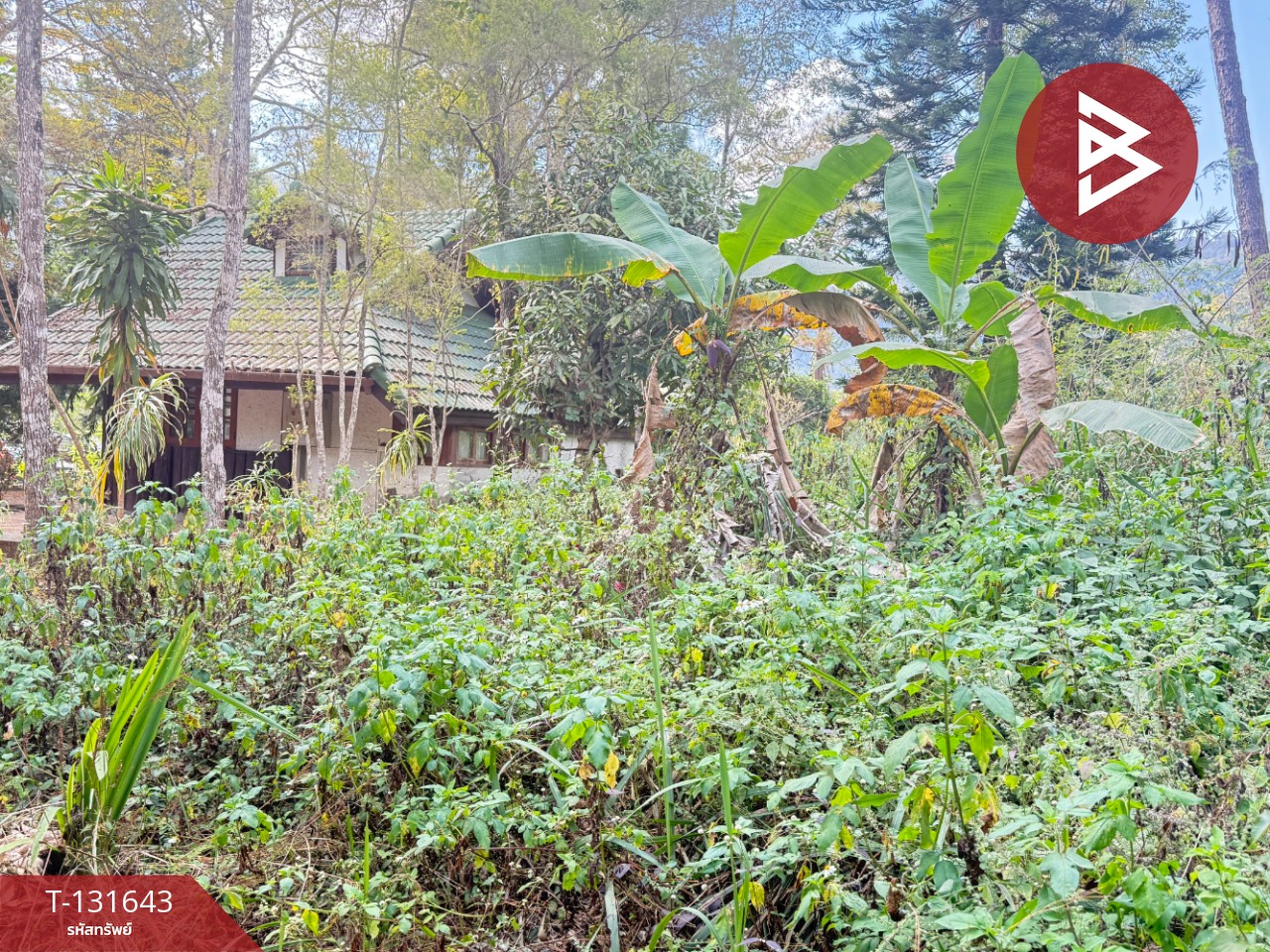 ขายที่ดิน เนื้อที่ 1 งาน 32 ตร.วา แม่ริม เชียงใหม่ 5