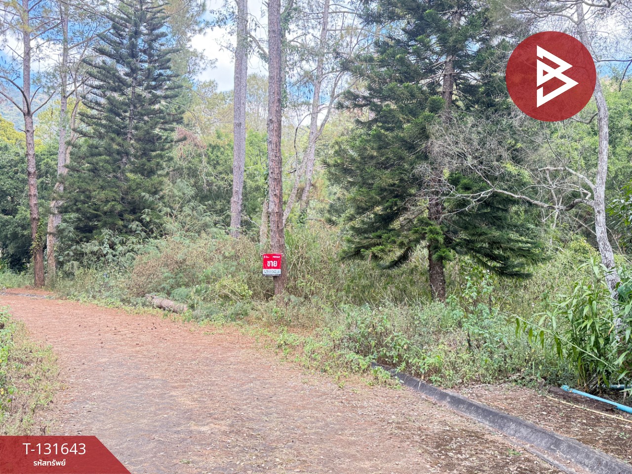 ขายที่ดิน เนื้อที่ 1 งาน 32 ตร.วา แม่ริม เชียงใหม่ 3