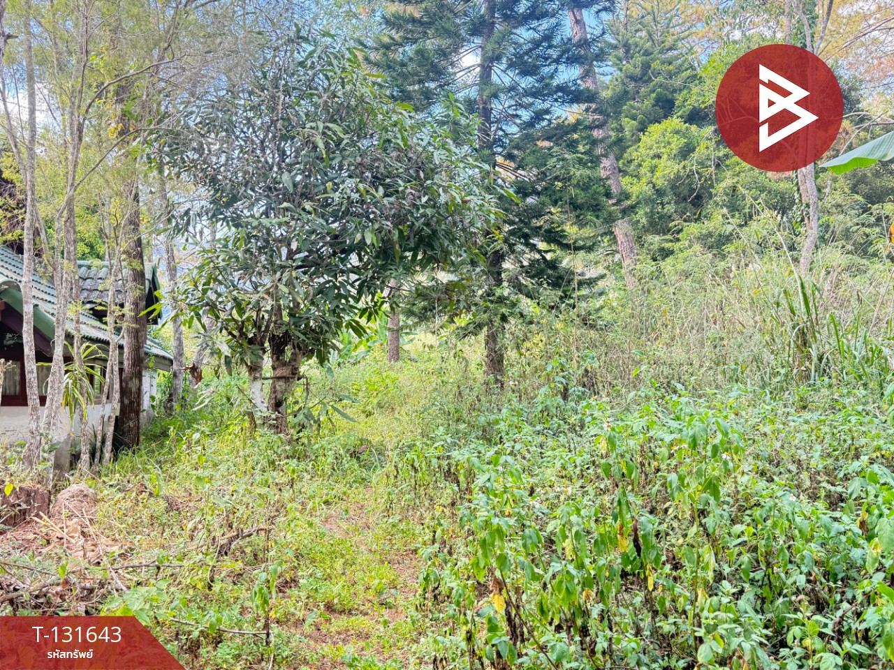 ขายที่ดิน เนื้อที่ 1 งาน 32 ตร.วา แม่ริม เชียงใหม่ 10