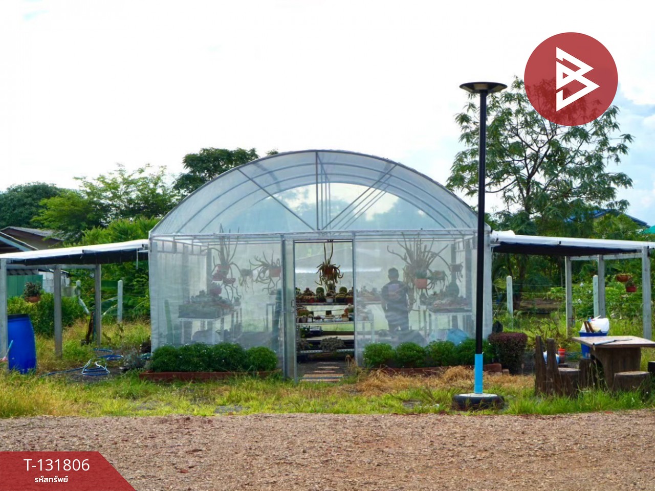 ขายที่ดิน เนื้อที่ 1 งาน 67 ตร.วา บางแพ ราชบุรี 9