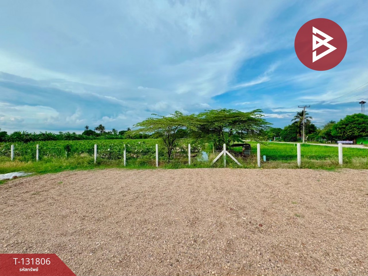 ขายที่ดิน เนื้อที่ 1 งาน 67 ตร.วา บางแพ ราชบุรี 4