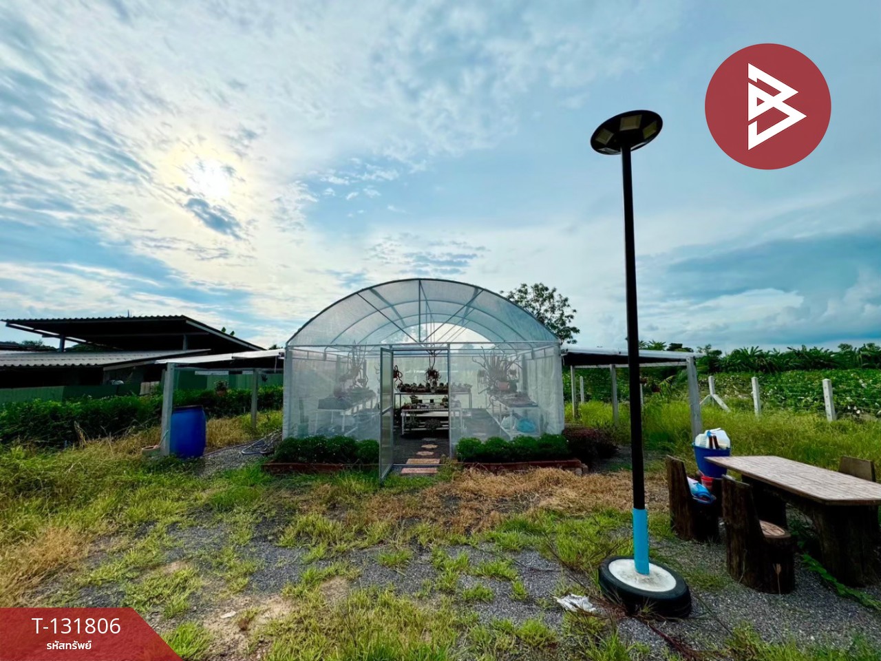 ขายที่ดิน เนื้อที่ 1 งาน 67 ตร.วา บางแพ ราชบุรี 5