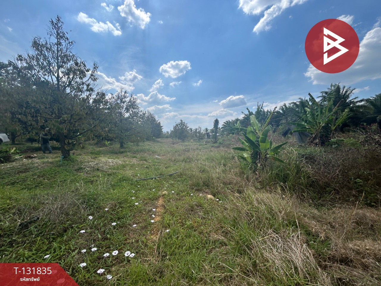 ขายที่ดิน เนื้อที่ 20 ไร่ 88 ตารางวา อ.มะขาม จันทบุรี 5