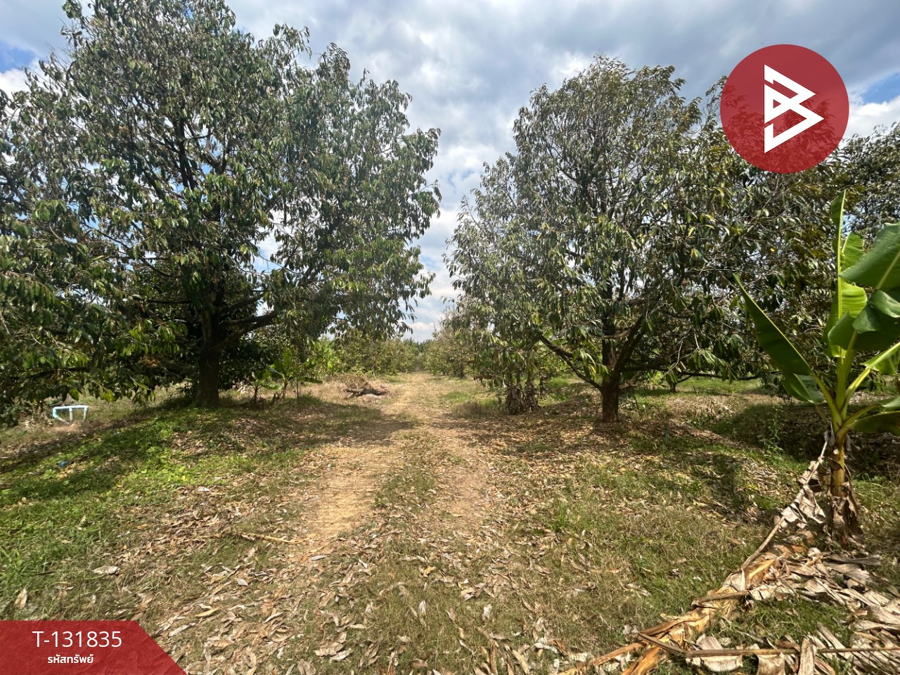 ขายที่ดิน เนื้อที่ 20 ไร่ 88 ตารางวา อ.มะขาม จันทบุรี 14