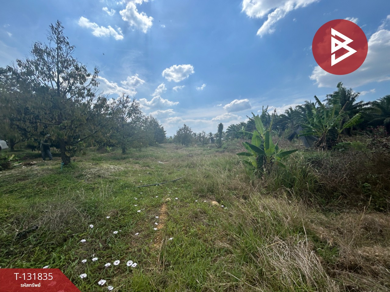 ขายที่ดิน เนื้อที่ 20 ไร่ 88 ตารางวา อ.มะขาม จันทบุรี 3