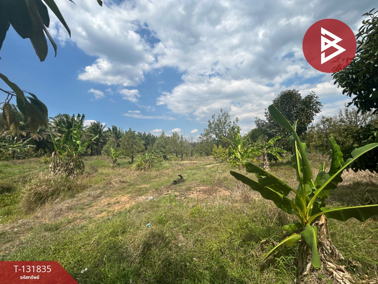 ขายที่ดิน เนื้อที่ 20 ไร่ 88 ตารางวา อ.มะขาม จันทบุรี 7