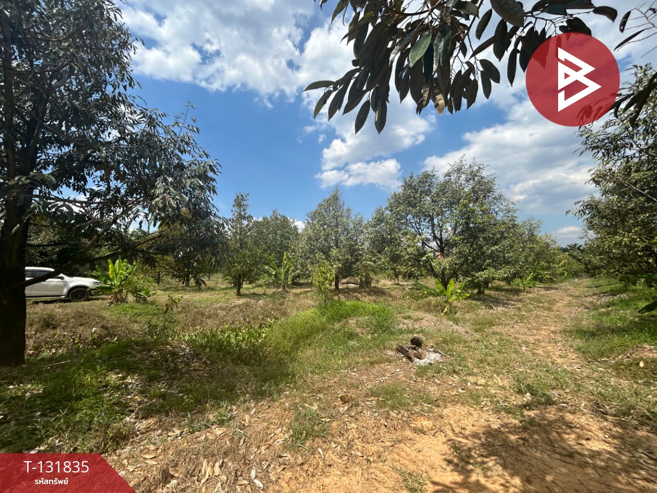 ขายที่ดิน เนื้อที่ 20 ไร่ 88 ตารางวา อ.มะขาม จันทบุรี 10