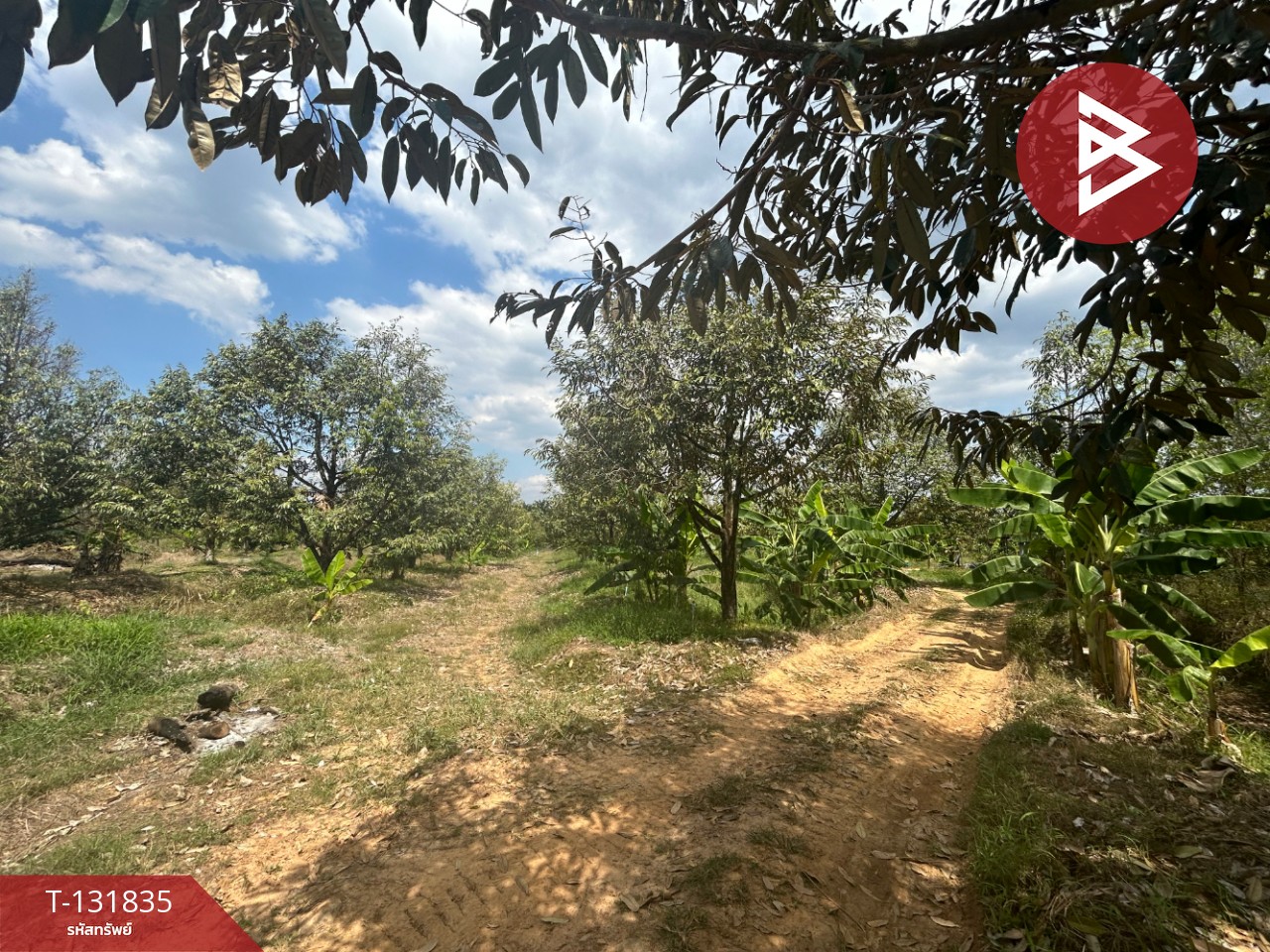 ขายที่ดิน เนื้อที่ 20 ไร่ 88 ตารางวา อ.มะขาม จันทบุรี 11