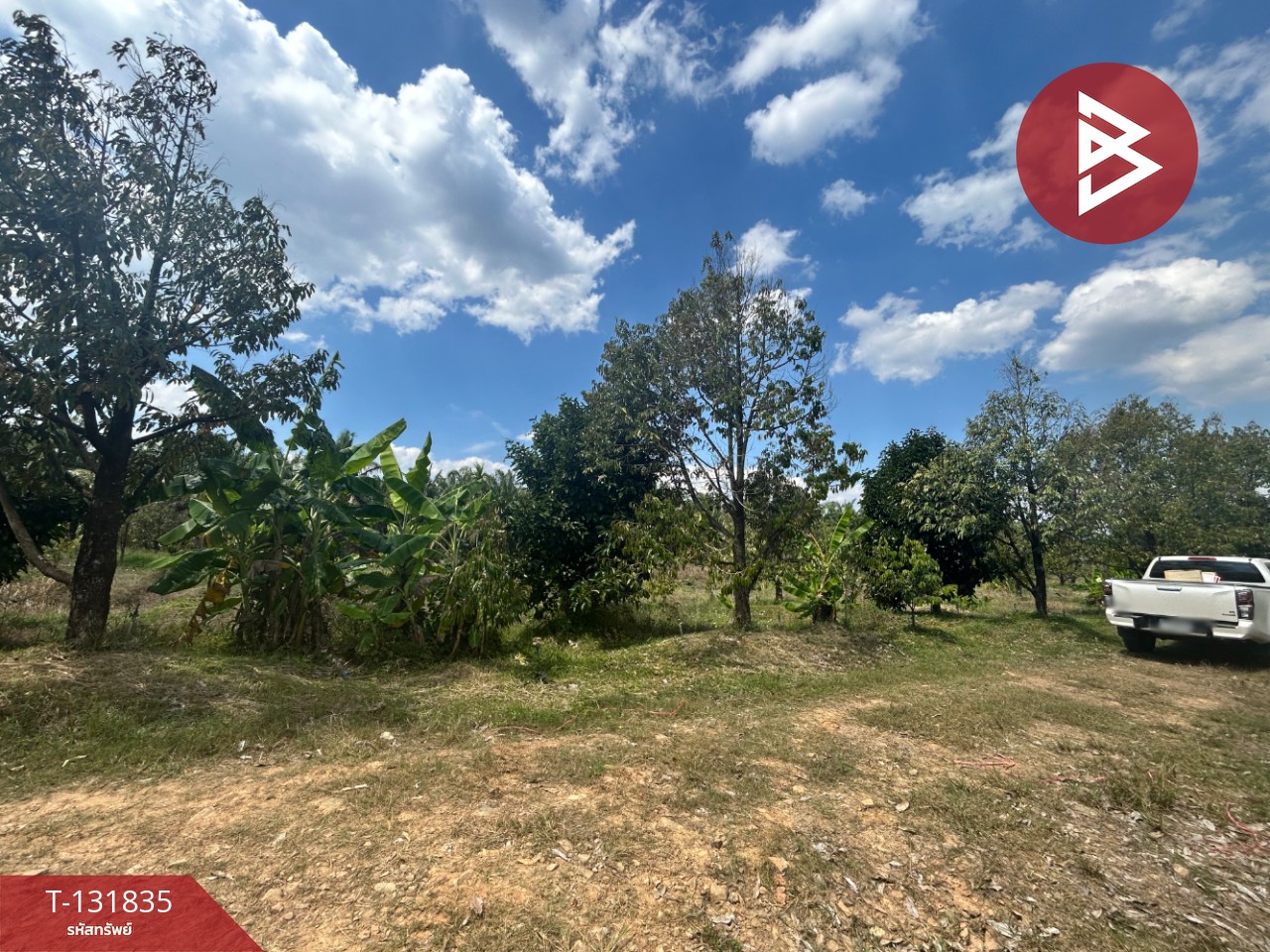 ขายที่ดิน เนื้อที่ 20 ไร่ 88 ตารางวา อ.มะขาม จันทบุรี 1