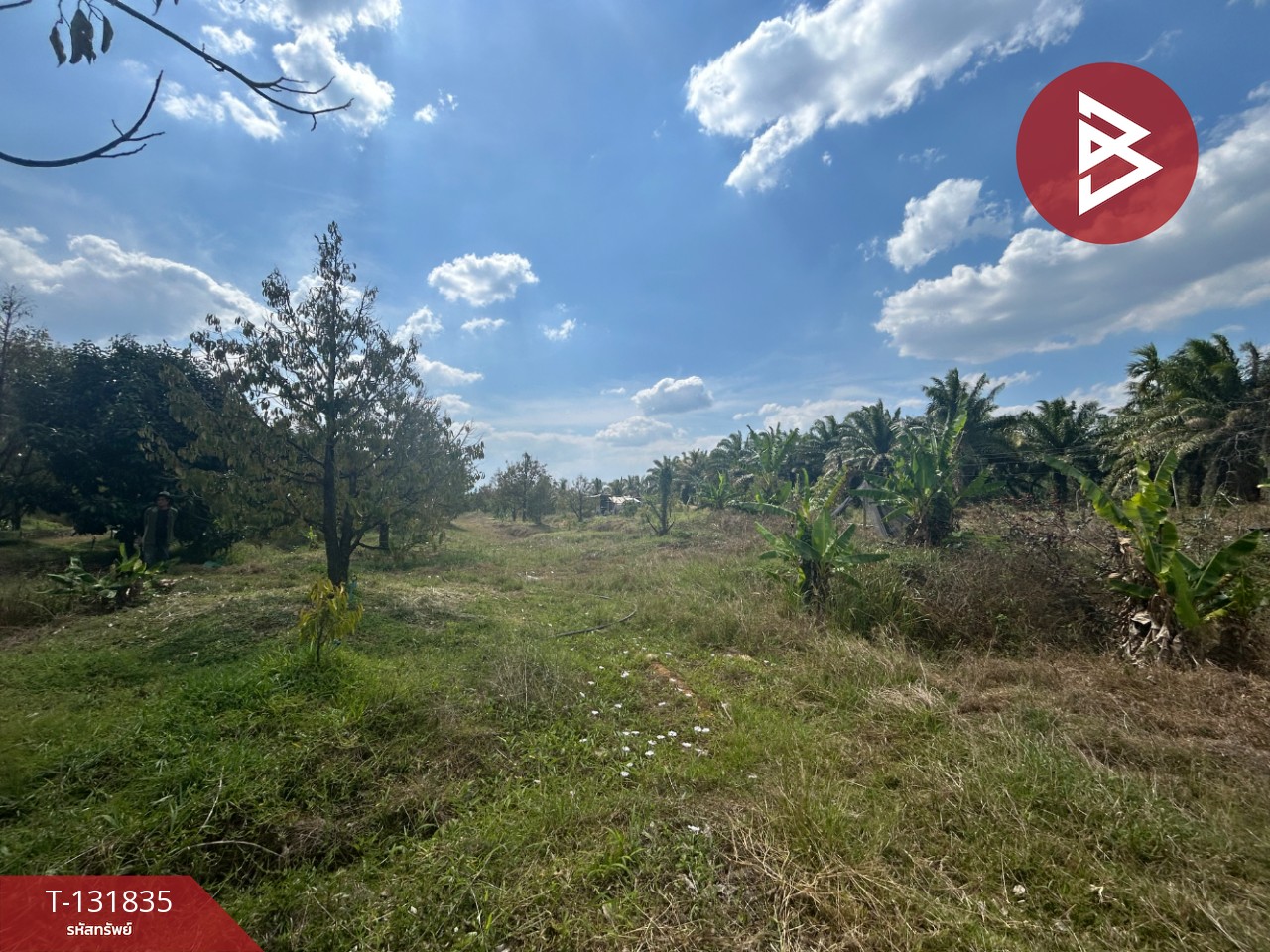 ขายที่ดิน เนื้อที่ 20 ไร่ 88 ตารางวา อ.มะขาม จันทบุรี 4