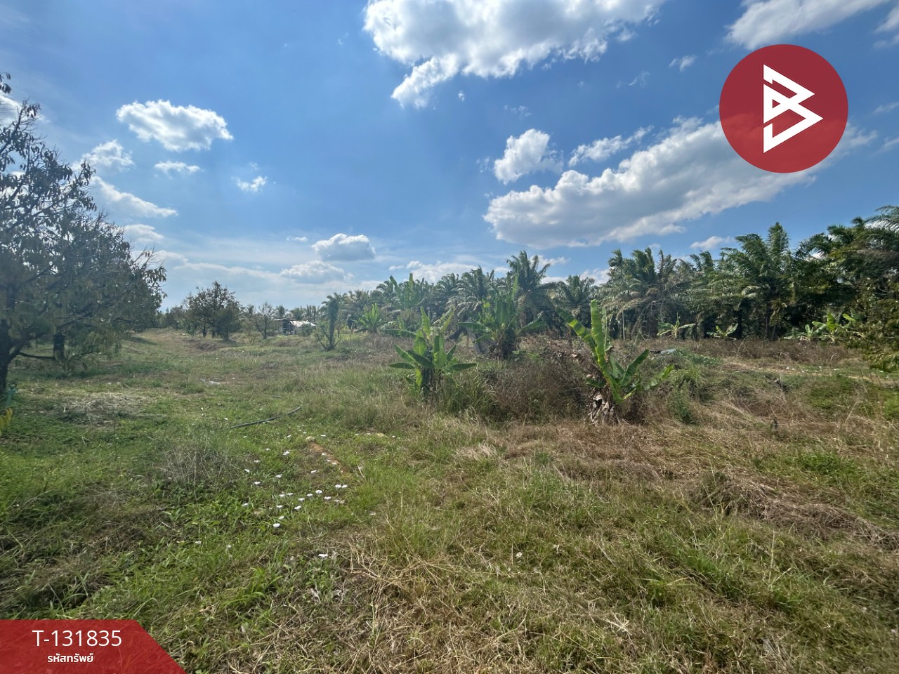 ขายที่ดิน เนื้อที่ 20 ไร่ 88 ตารางวา อ.มะขาม จันทบุรี 6