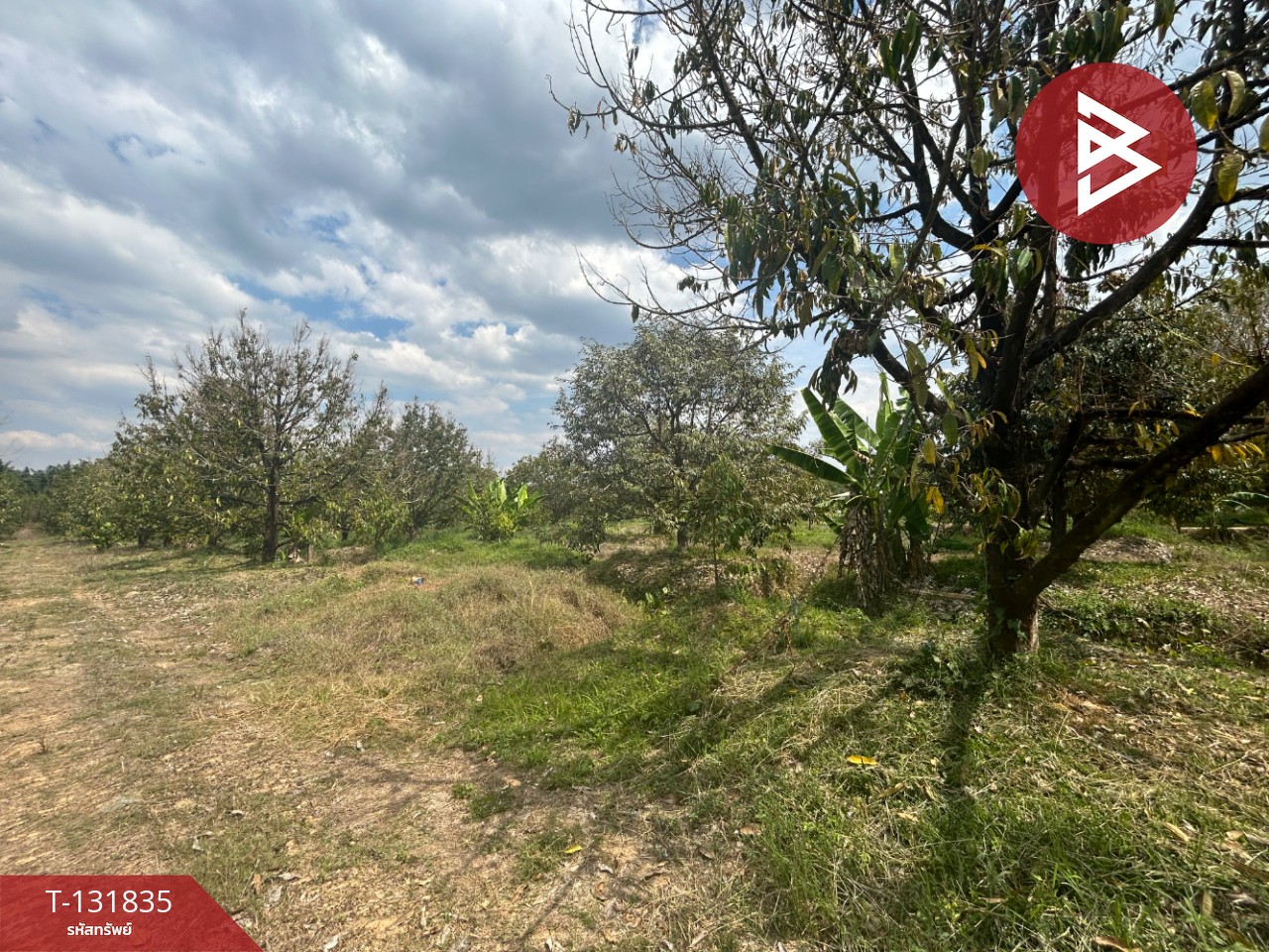 ขายที่ดิน เนื้อที่ 20 ไร่ 88 ตารางวา อ.มะขาม จันทบุรี 13