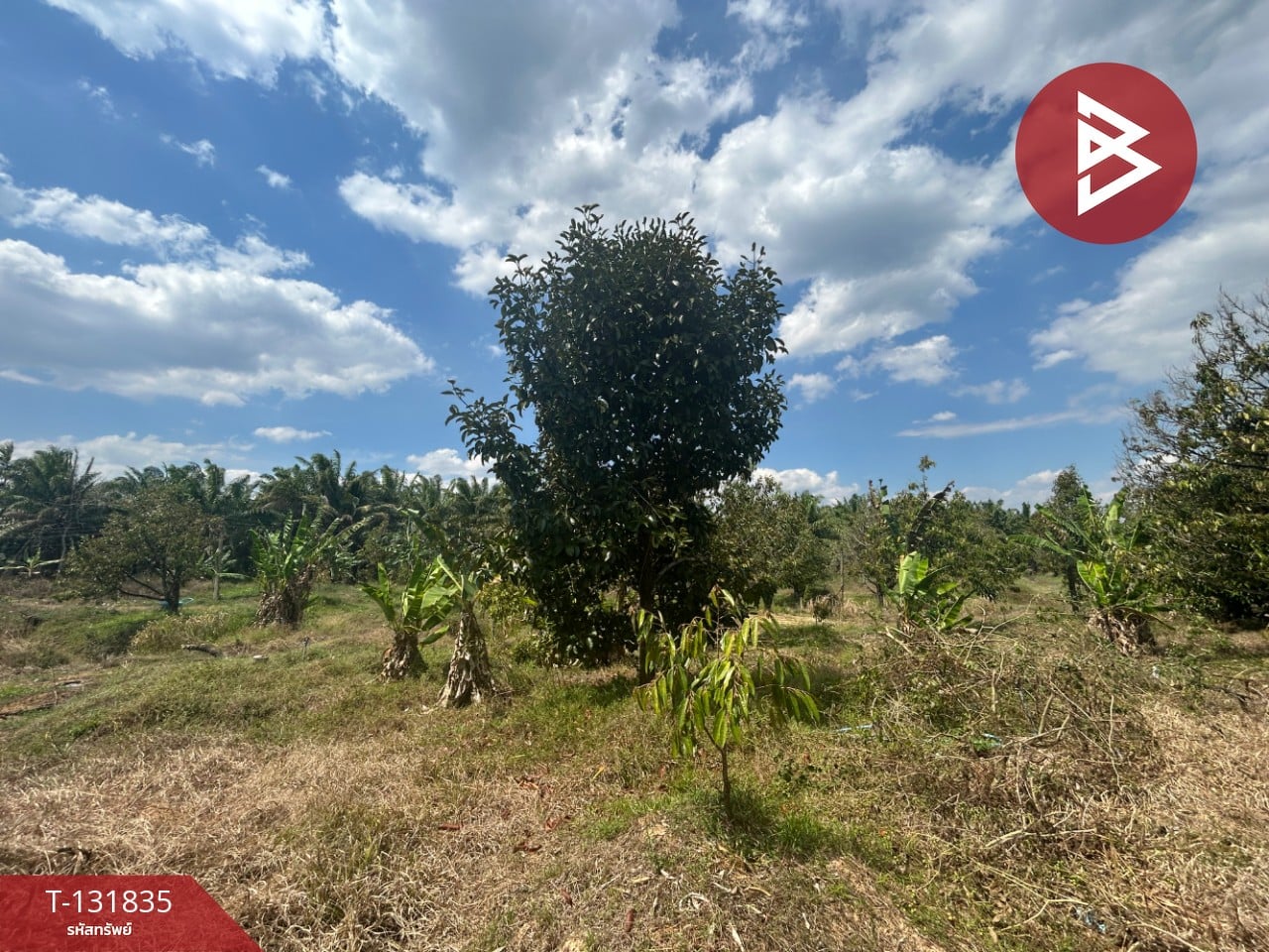 ขายที่ดิน เนื้อที่ 20 ไร่ 88 ตารางวา อ.มะขาม จันทบุรี 9