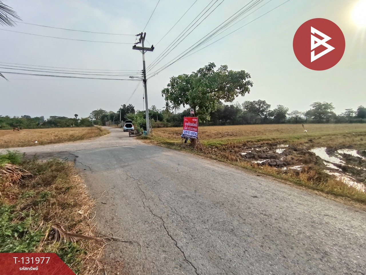 ขายที่ดิน เนื้อที่ 6 ไร่ 42 ตร.วา ท่ามะกา กาญจนบุรี 12