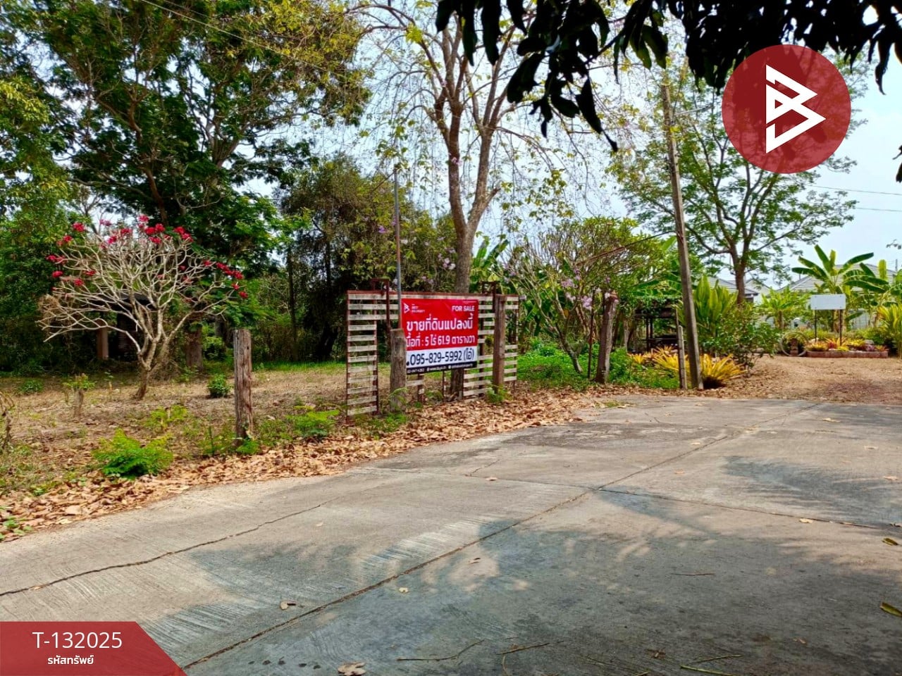 ขายที่ดินถมแล้ว เนื้อที่ 5 ไร่ 61.9 ตารางวา พงสวาย ราชบุรี 2