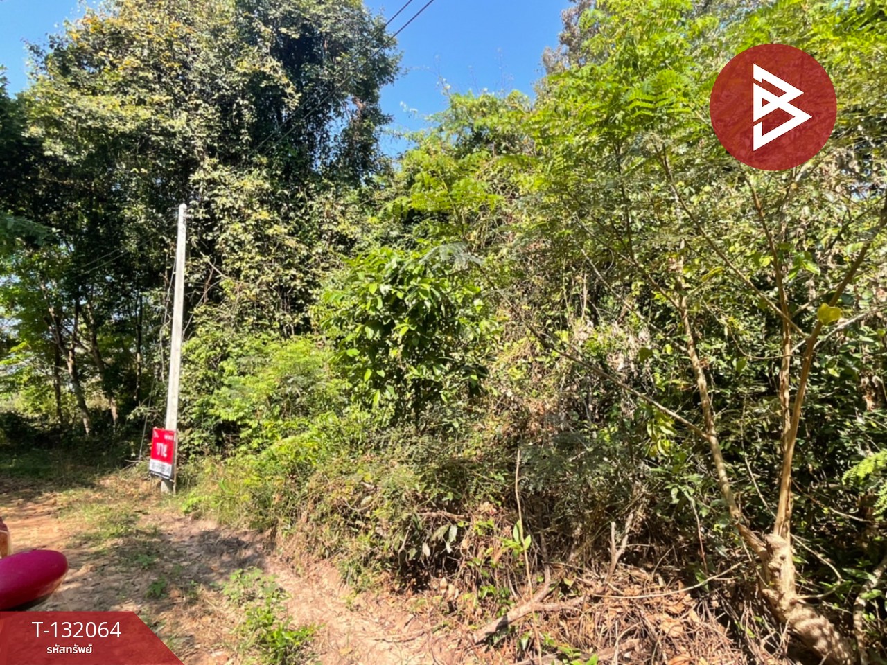 ขายที่ดิน เนื้อที่ 1 ไร่ 2 งาน กระโสบ อุบลราชธานี 7