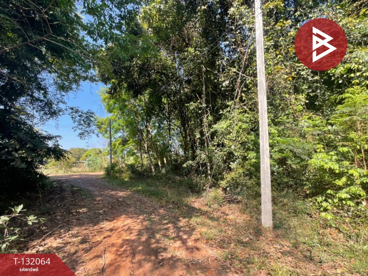 ขายที่ดิน เนื้อที่ 1 ไร่ 2 งาน กระโสบ อุบลราชธานี 3