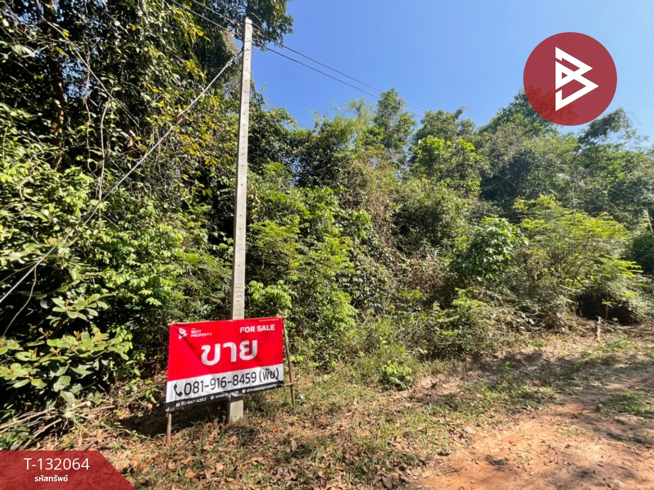 ขายที่ดิน เนื้อที่ 1 ไร่ 2 งาน กระโสบ อุบลราชธานี 2