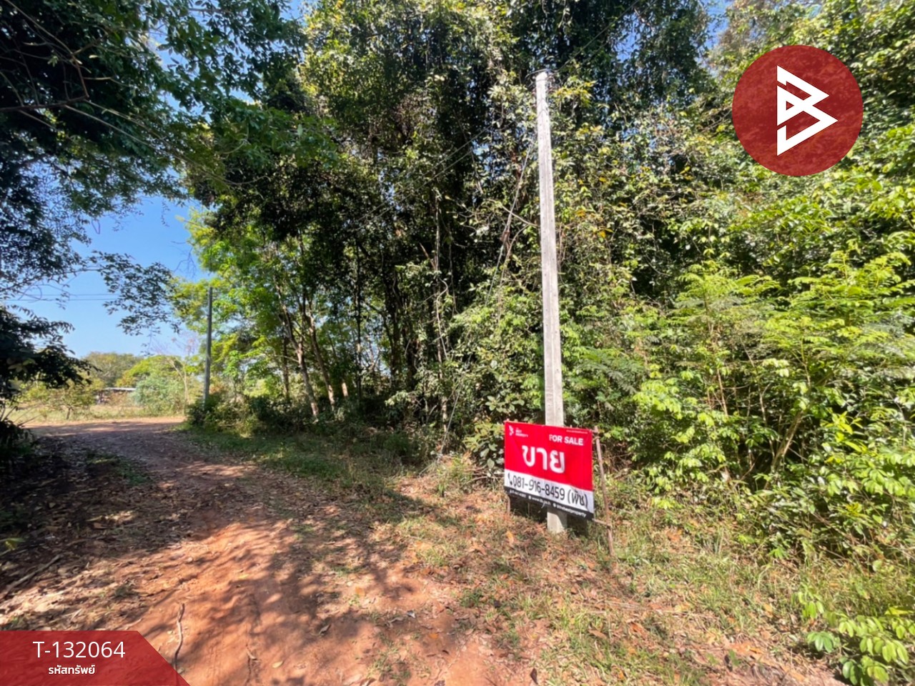 ขายที่ดิน เนื้อที่ 1 ไร่ 2 งาน กระโสบ อุบลราชธานี 4