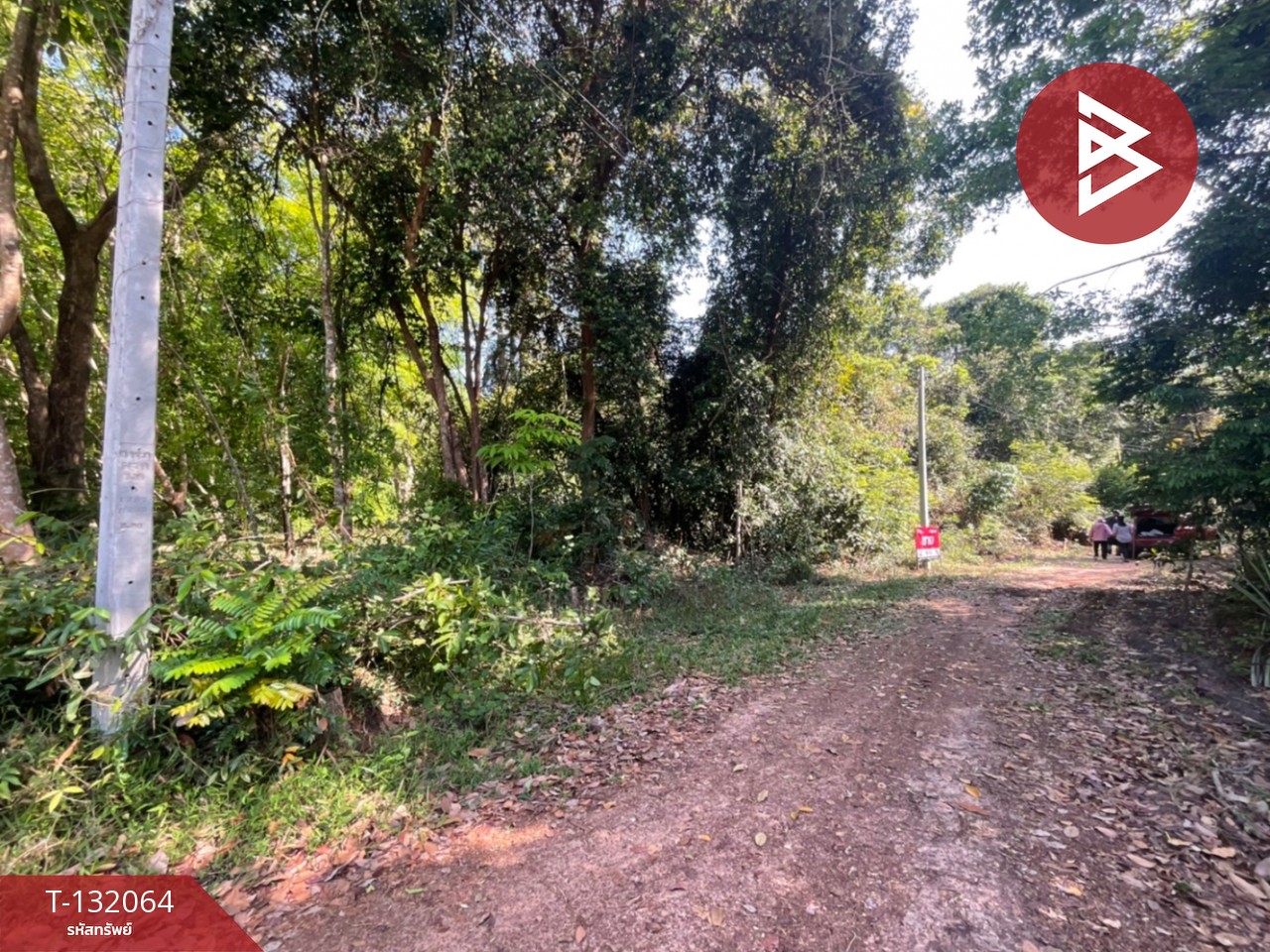 ขายที่ดิน เนื้อที่ 1 ไร่ 2 งาน กระโสบ อุบลราชธานี 1