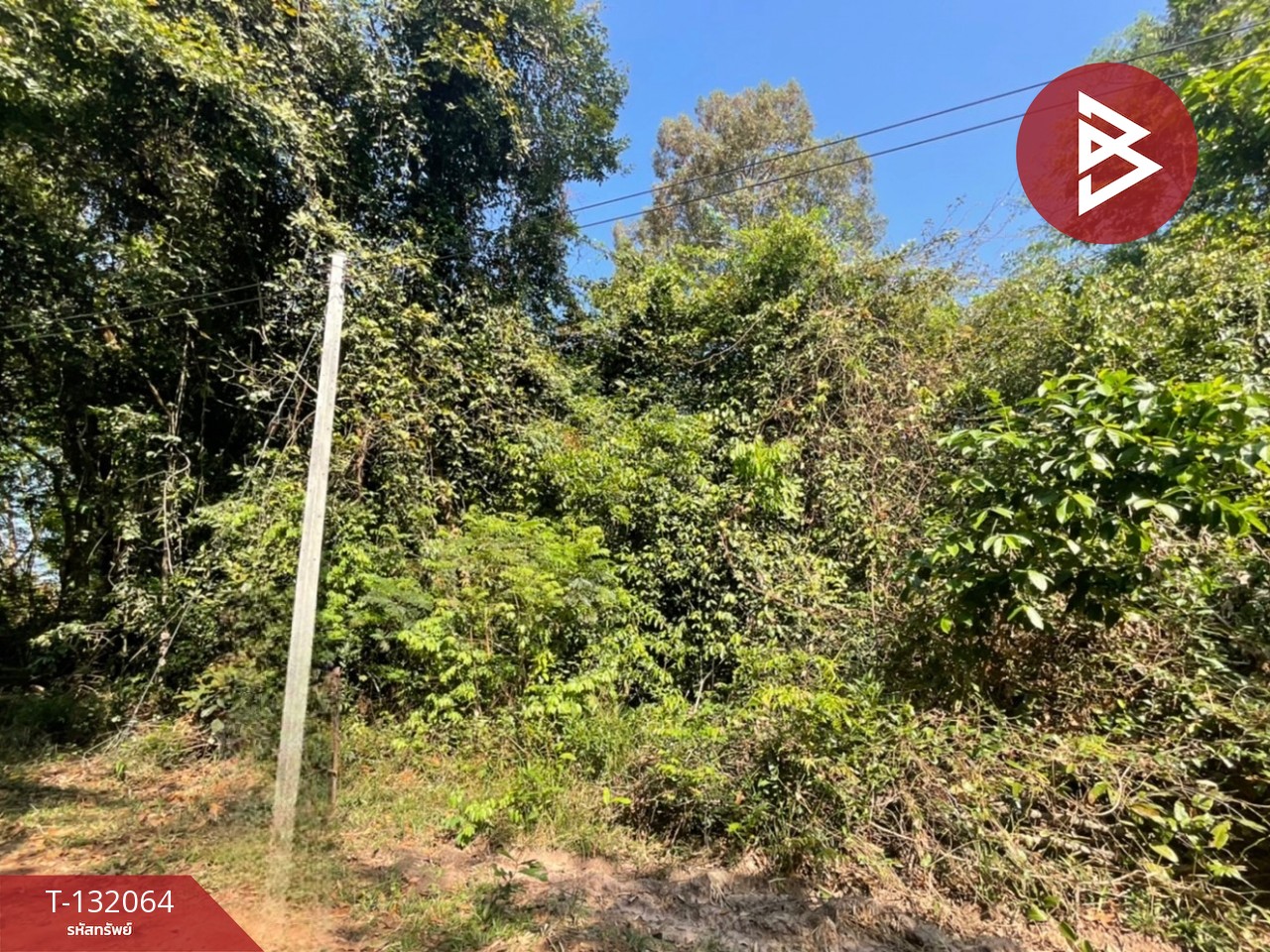 ขายที่ดิน เนื้อที่ 1 ไร่ 2 งาน กระโสบ อุบลราชธานี 6