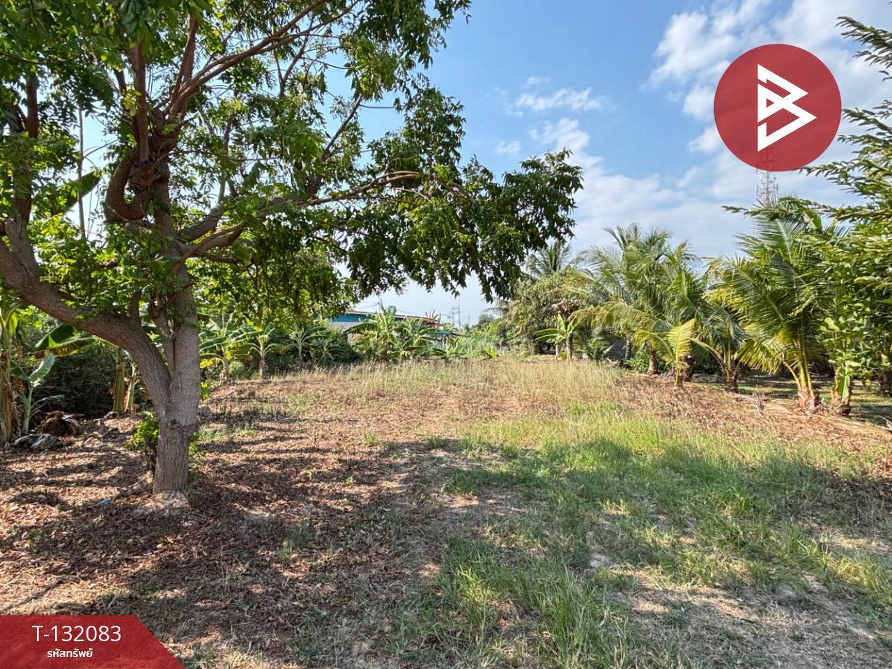 ขายที่ดิน เนื้อที่ 1 งาน 2.6 ตร.วา ตะพง ระยอง 12