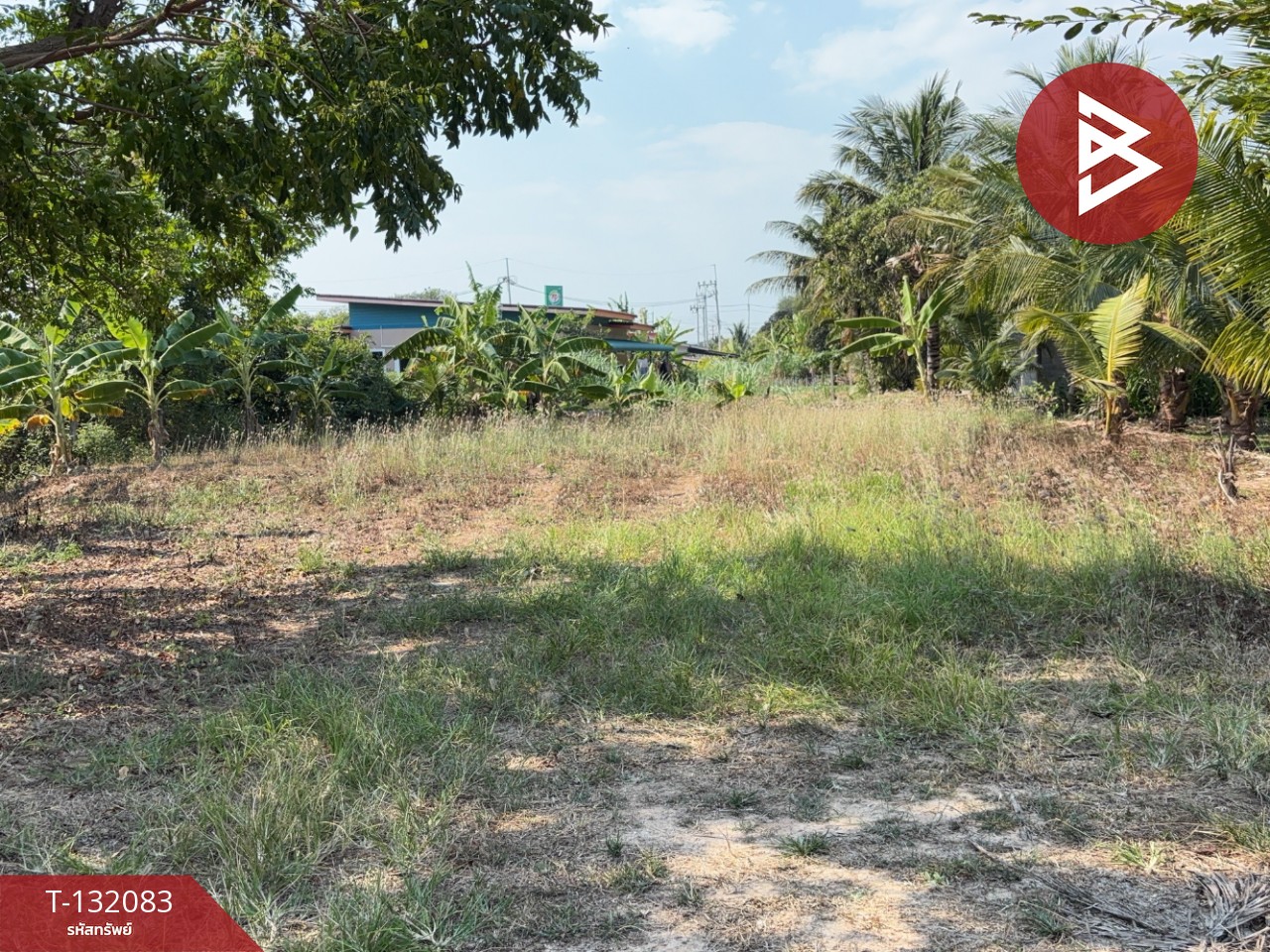 ขายที่ดิน เนื้อที่ 1 งาน 2.6 ตร.วา ตะพง ระยอง 1