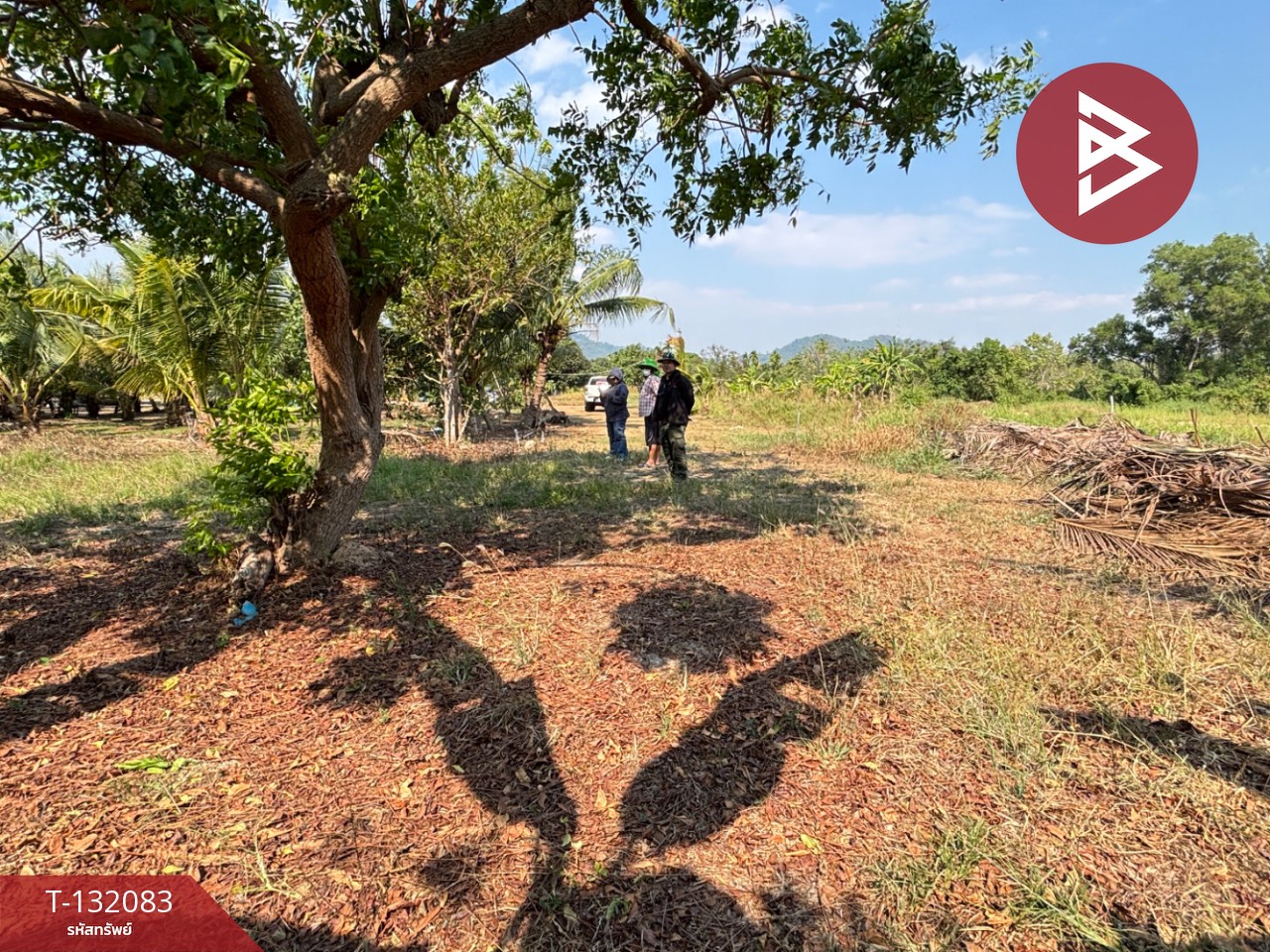 ขายที่ดิน เนื้อที่ 1 งาน 2.6 ตร.วา ตะพง ระยอง 9