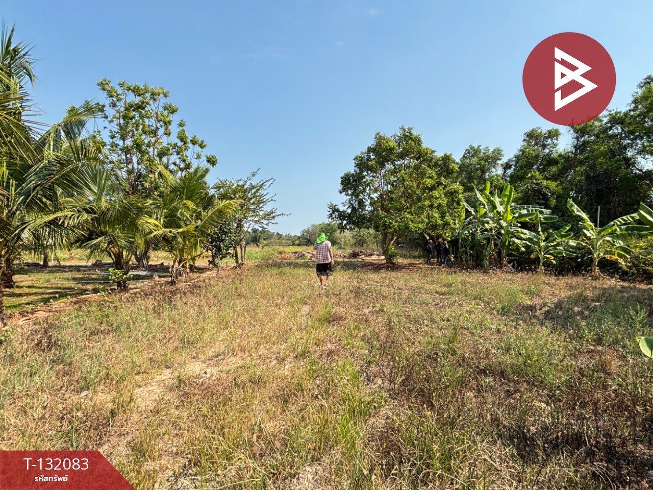 ขายที่ดิน เนื้อที่ 1 งาน 2.6 ตร.วา ตะพง ระยอง 8