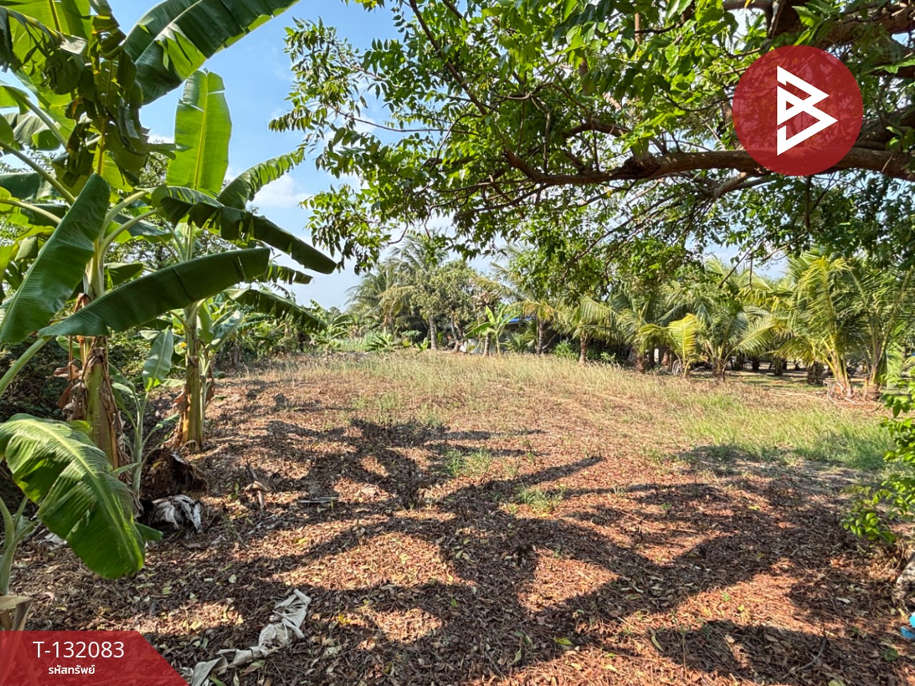 ขายที่ดิน เนื้อที่ 1 งาน 2.6 ตร.วา ตะพง ระยอง 11