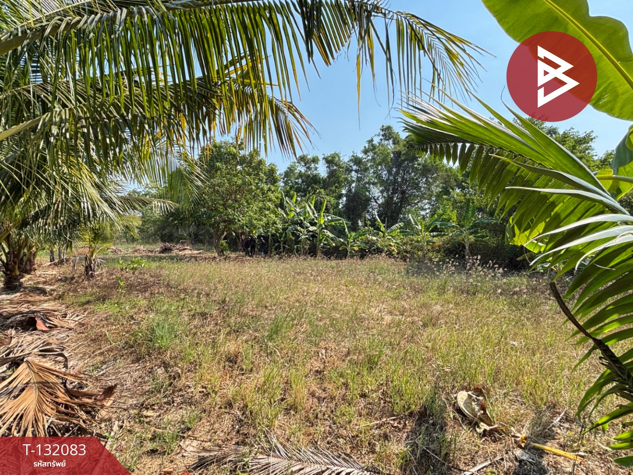 ขายที่ดิน เนื้อที่ 1 งาน 2.6 ตร.วา ตะพง ระยอง 7