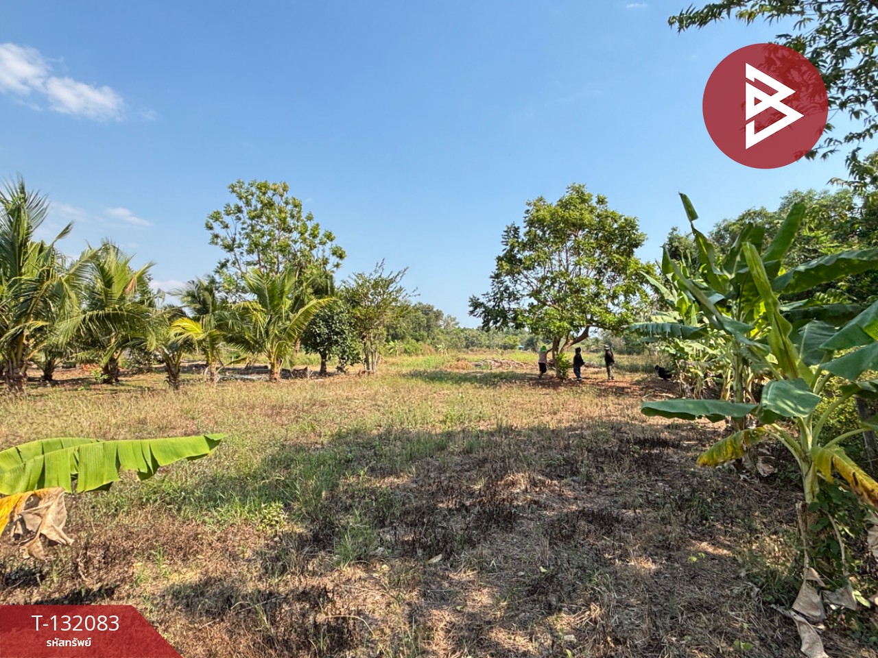 ขายที่ดิน เนื้อที่ 1 งาน 2.6 ตร.วา ตะพง ระยอง 5