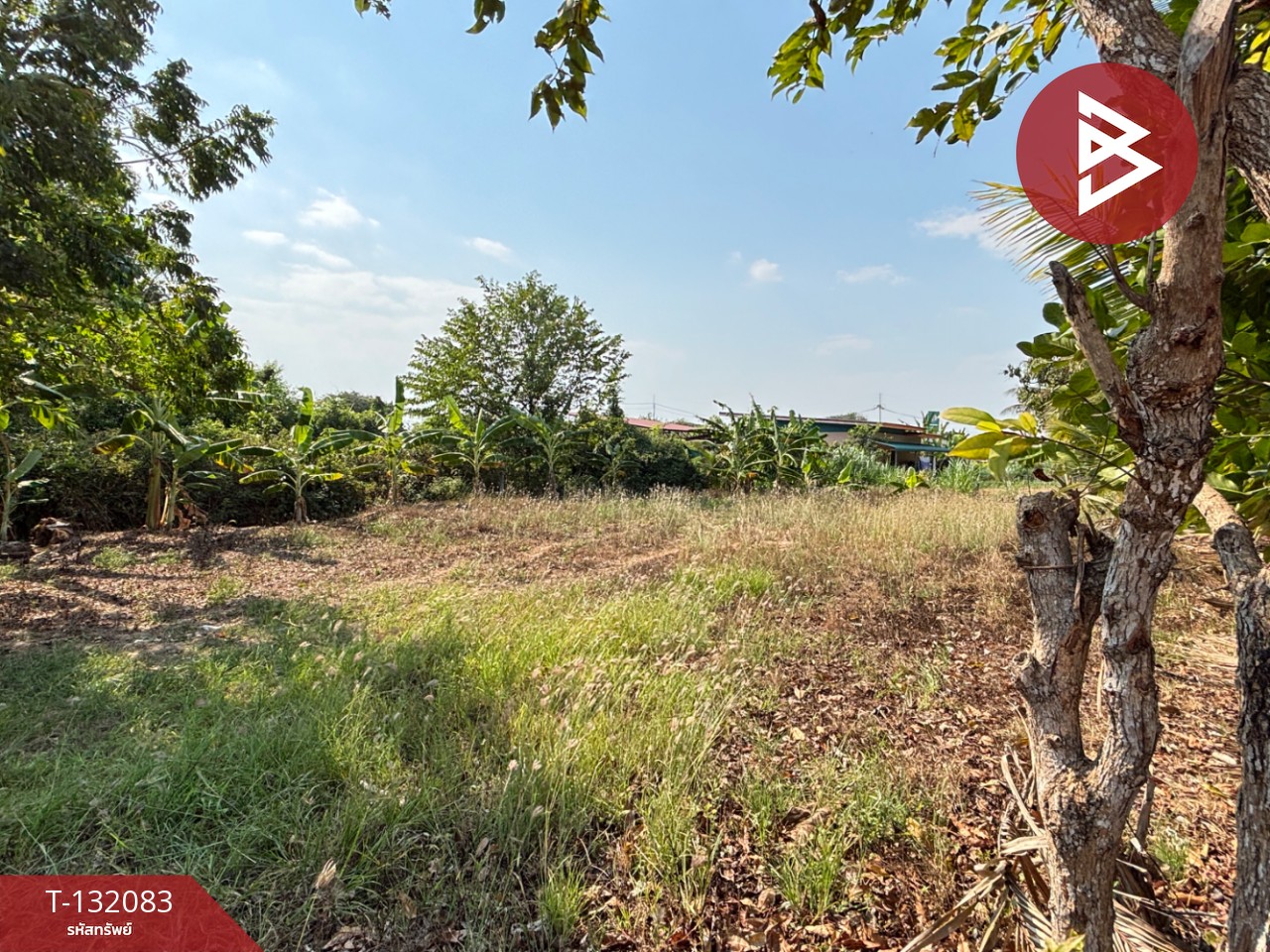 ขายที่ดิน เนื้อที่ 1 งาน 2.6 ตร.วา ตะพง ระยอง 10